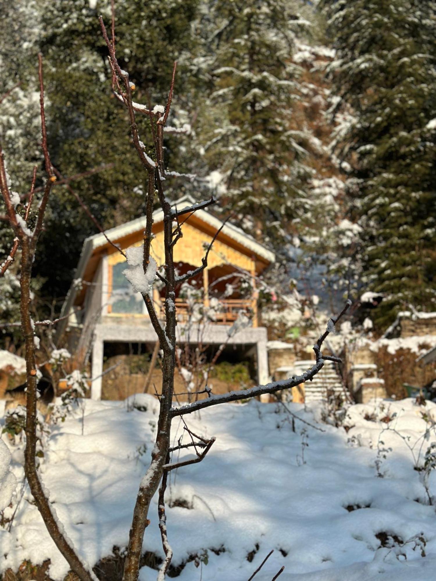Tree House Latos Tandi Ξενοδοχείο Jibhi Εξωτερικό φωτογραφία