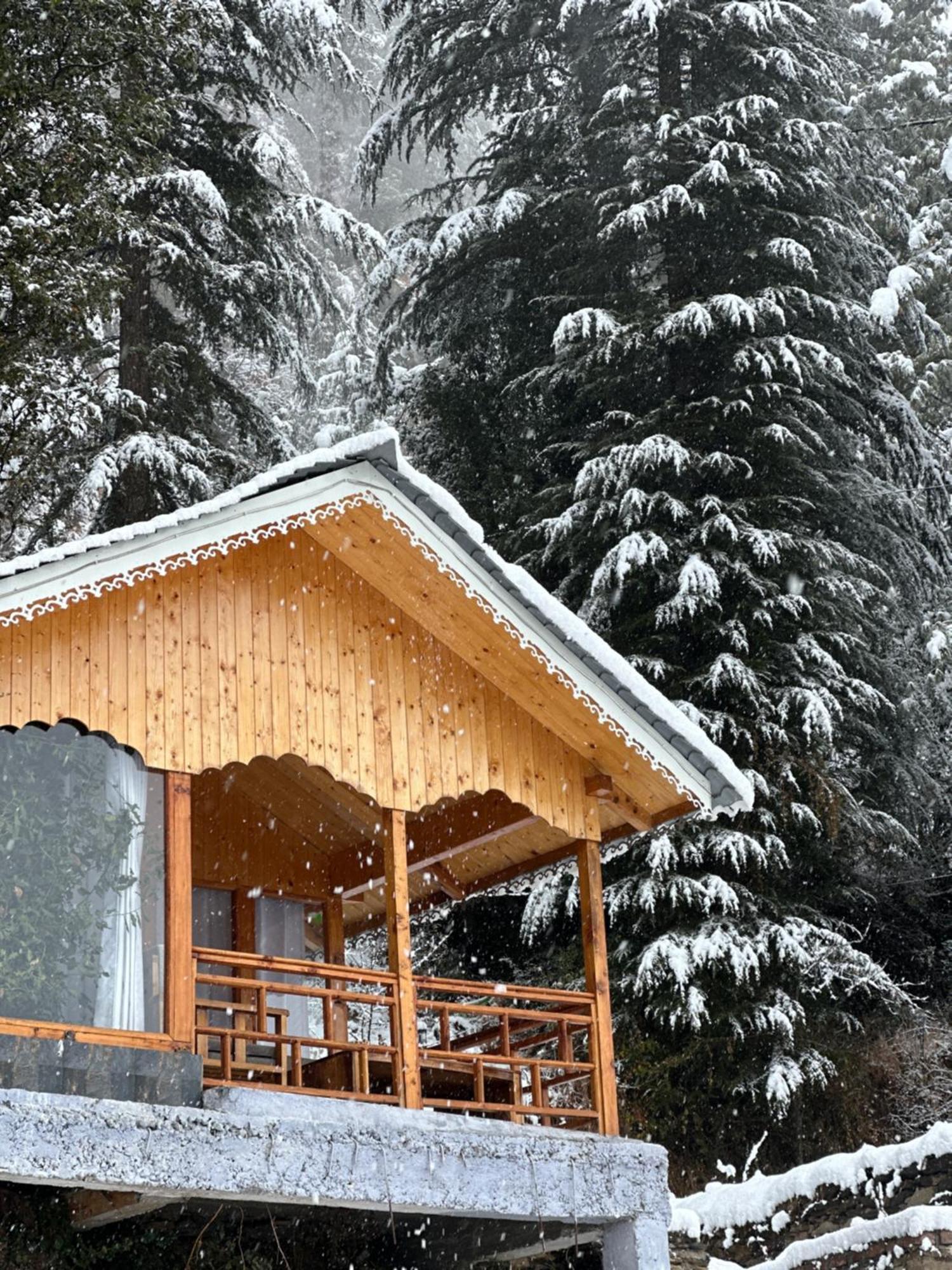Tree House Latos Tandi Ξενοδοχείο Jibhi Εξωτερικό φωτογραφία